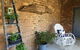 Melaleuca Cottage - thumb 1