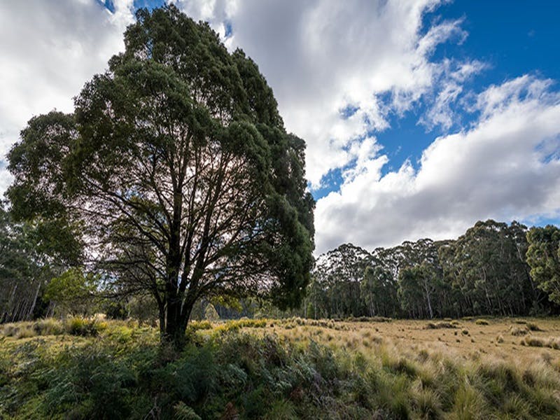 Glen Allen NSW Accommodation BNB