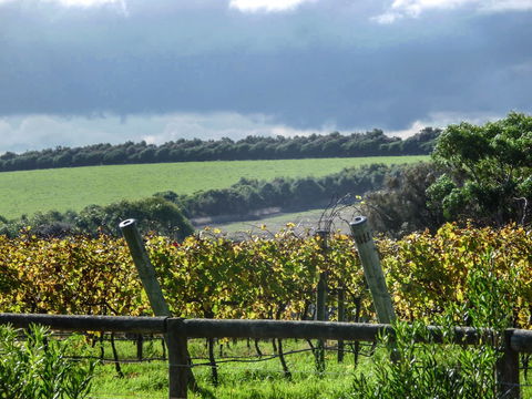 Suma Park Estate - Accommodation BNB 1