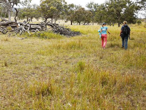 Sundown National Park Camping - Accommodation BNB 2