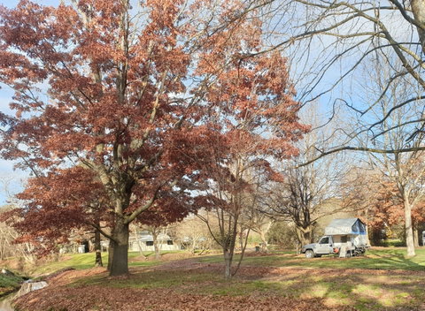 Tumbarumba Caravan Park - Accommodation BNB 0