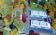 Tumbarumba Caravan Park - thumb 1
