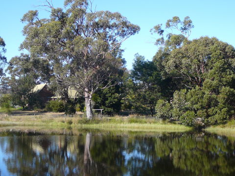 Wind Song Bed And Breakfast - Accommodation BNB 2