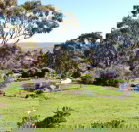 Austiny Bed and Breakfast - Accommodation BNB