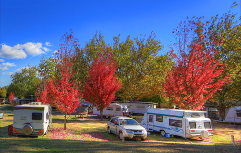 Beechworth Lake Sambell Caravan Park - Accommodation BNB 0