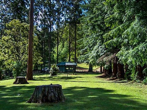 Dingo Tops Campground - Accommodation BNB 0