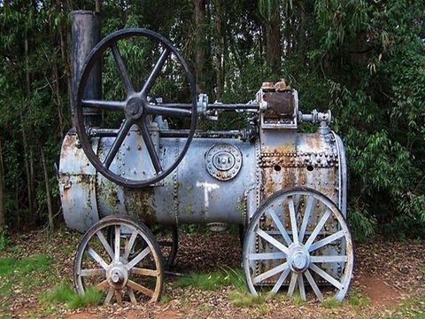 Dingo Tops Campground - Accommodation BNB 1