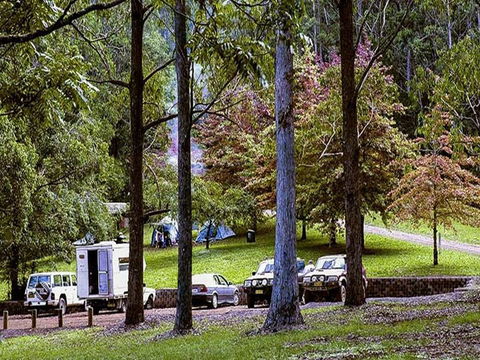 Dingo Tops Campground - Accommodation BNB 2