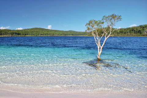 Fraser Island Fishing Units - Accommodation BNB 0
