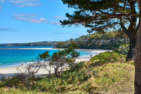 The Beach Jervis Bay - Accommodation BNB 1