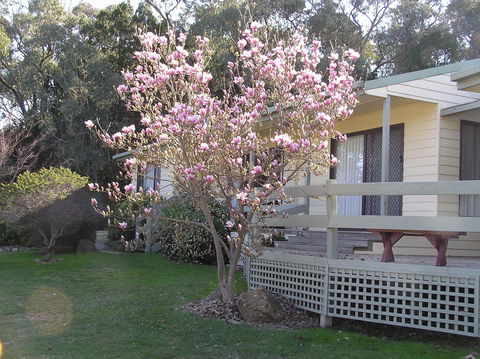 Annies Holiday Units - Accommodation BNB 0