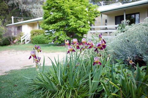 Annies Holiday Units - Accommodation BNB 2
