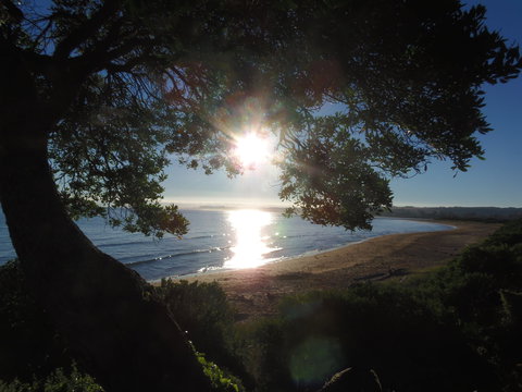 Apex Beachside Holiday Park - Accommodation BNB 1