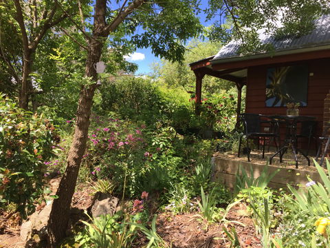 Artscape Cottage Beechworth - Accommodation BNB 2