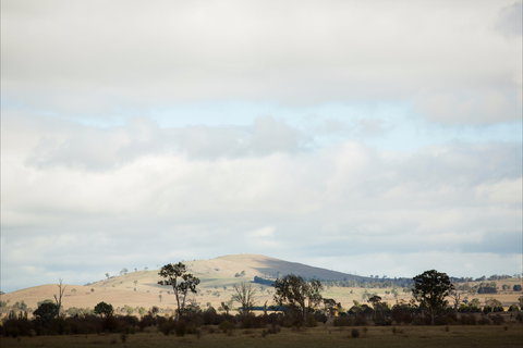 Aurelias Farm Bed And Breakfast - Accommodation BNB 1