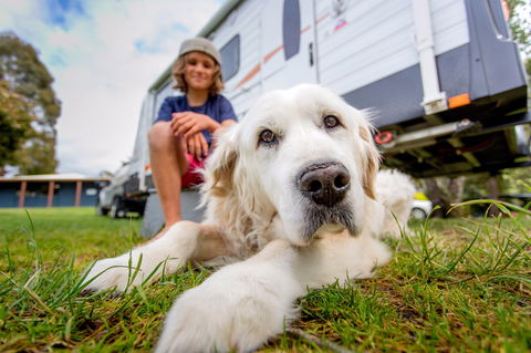 BIG4 St Helens Holiday Park - Accommodation BNB 2
