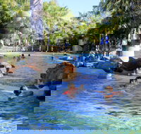 Big4 Aussie Outback Oasis Holiday Park - Accommodation BNB