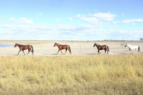 Charlotte Plains - Accommodation BNB 2