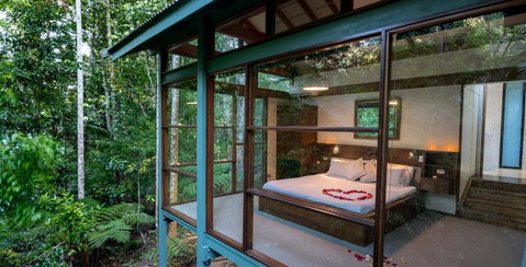 Crystal Creek Rainforest Retreat - Accommodation BNB 2