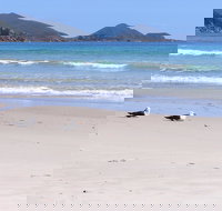 Eagles Rise Tasmania - Accommodation BNB