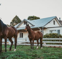 Glenburnie Cottage - Accommodation BNB