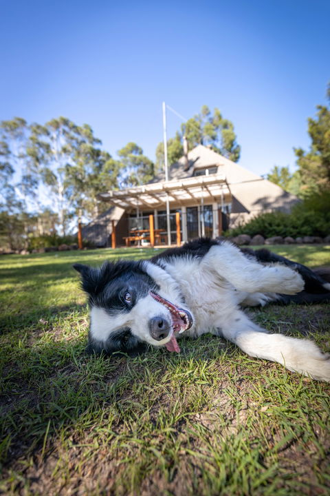 Grampians Getaway - Accommodation BNB 0