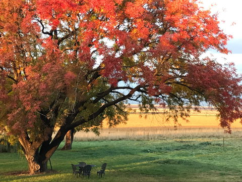 Little Kickabell Country Homestead - Accommodation BNB 0