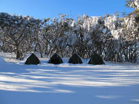 Mt Stirling Alpine Winter Camp - Accommodation BNB 1