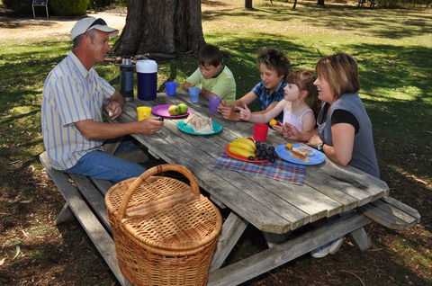Naracoorte Caves Camping And Accomodation - Accommodation BNB 0