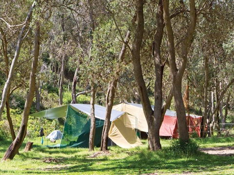 Pebbly Beach Campground - Yuraygir National Park - Accommodation BNB 1