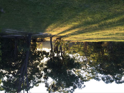 Possum's Hollow And Hooter's Hut - Accommodation BNB 0