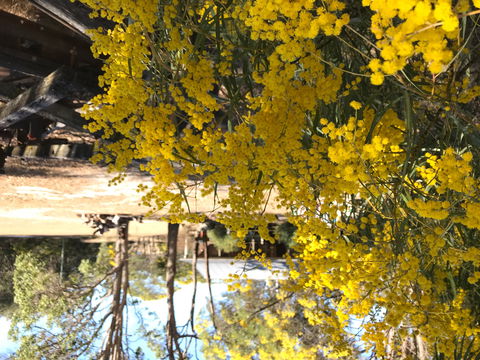 Possum's Hollow And Hooter's Hut - Accommodation BNB 1