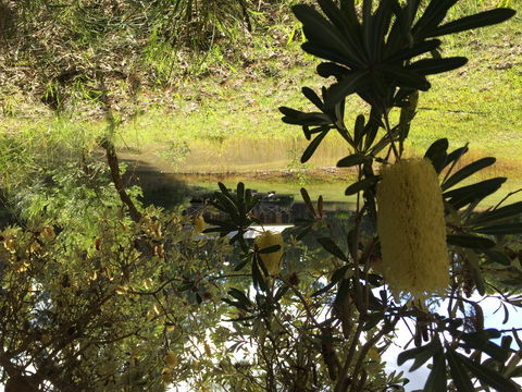 Possum's Hollow And Hooter's Hut - Accommodation BNB 2