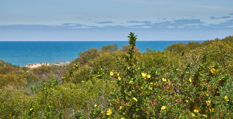 Preston Beach Front Apartment - Accommodation BNB 0