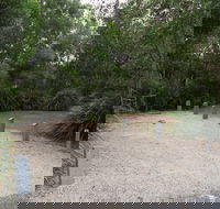 Springbrook National Park camping - Accommodation BNB