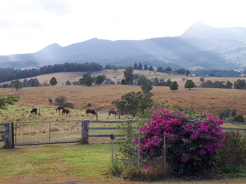 The Barn  House Farm Stay At Possum Manor - Accommodation BNB 0