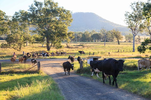 Tommerups Dairy Farmstay - Accommodation BNB 0