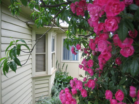 Valley Views Bed And Breakfast - Accommodation BNB 0