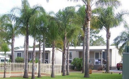 Treehaven Tourist Park - Accommodation BNB 3