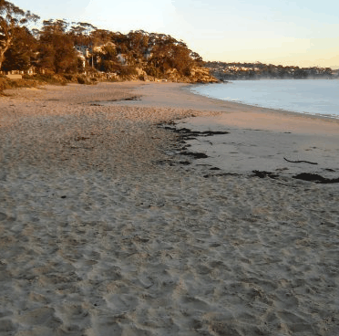Beachhaven Bed & Breakfast - Accommodation BNB 5