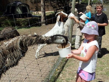 Bairnsdale Holiday Park - Accommodation BNB 2
