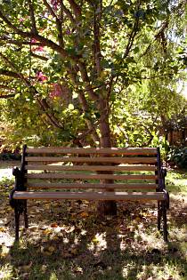 Tara House Bed And Breakfast - Accommodation BNB 4