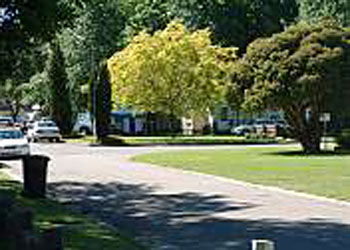 Mitchell Gardens Holiday Park - Accommodation BNB 0