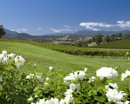 Balgownie Estate Vineyard Resort And Spa - Accommodation BNB 0