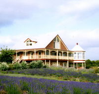 Serendipity Lavender Farm - Accommodation BNB