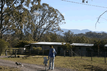 Bumblebrook Farm Motel - Accommodation BNB