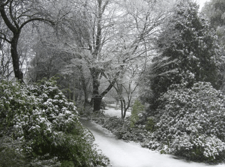 Woolrich Retreat - Accommodation BNB 5