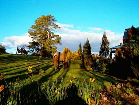 Gracehill B And B - Accommodation BNB 4