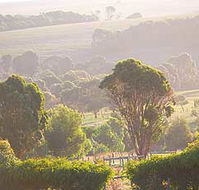 Mackas Farm - Accommodation BNB