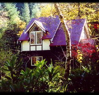 Forest Glade Olinda - Accommodation BNB